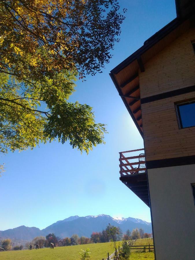 Vila Rem Bran  Exterior foto